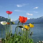 Des Alpes *