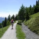 Chalet Des Alpes