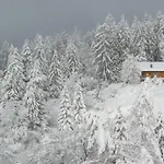Des Alpes シャレー クラン