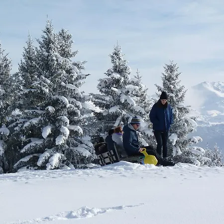 Des Alpes - Family - By Cosyhome