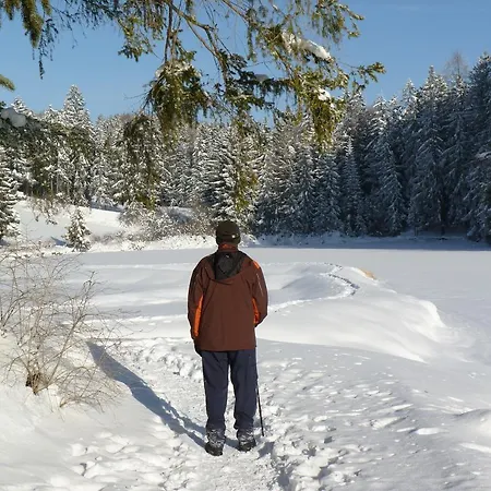 Des Alpes * Κρανς Μοντάνα