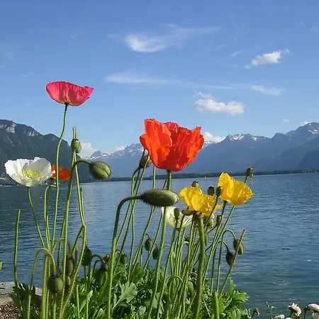 Des Alpes - Family - By Cosyhome *