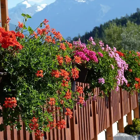 Des Alpes Σαλέ