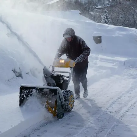 Des Alpes - Family - By Cosyhome شاليه