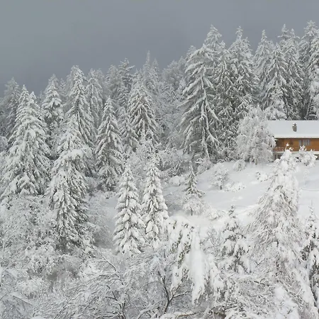 Des Alpes 샬레 크란스몬타나