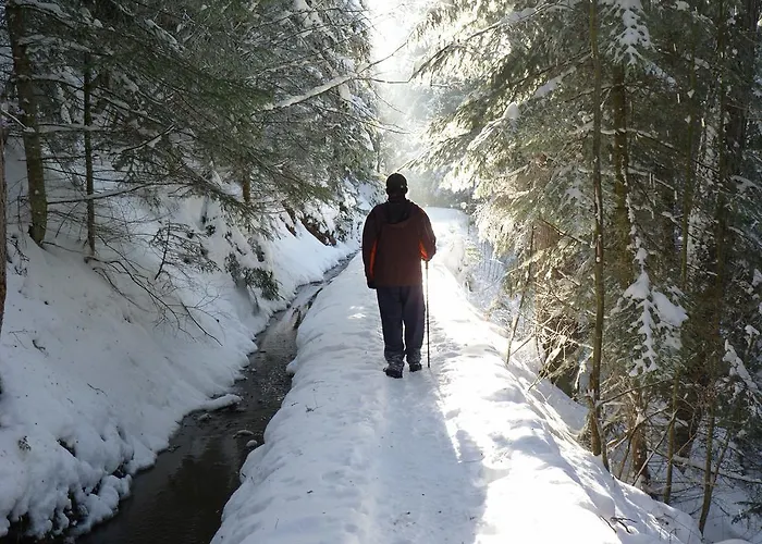 Des Alpes - Family - By Cosyhome Chalet *