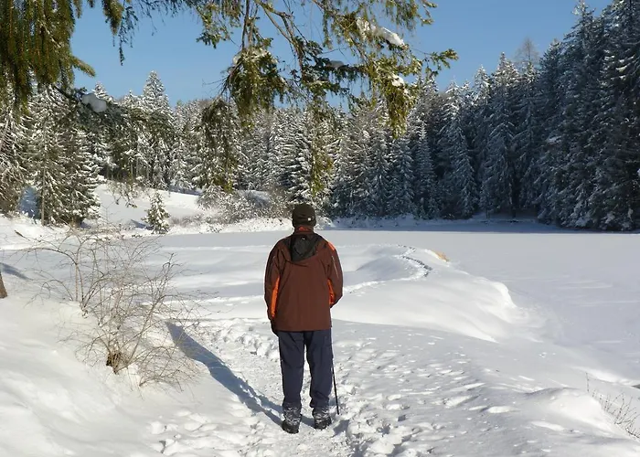 Des Alpes - Family - By Cosyhome * Crans-Montana