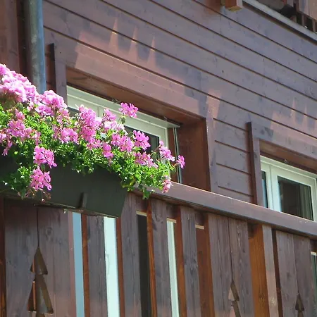 Des Alpes Dağ evi *