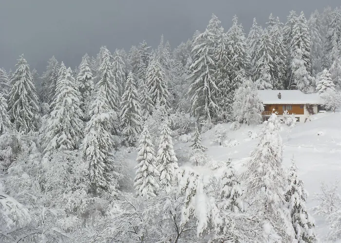 Des Alpes Alpesi faház Crans-Montana